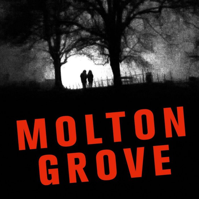 You are currently viewing Molton Grove
